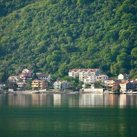Ana Apartment Kotor Eksteriør bilde