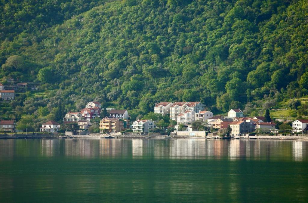 Ana Apartment Kotor Eksteriør bilde